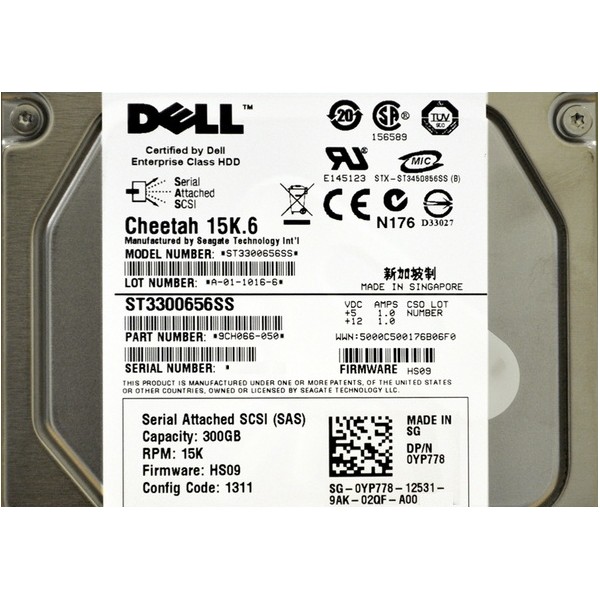 ST3300656SS-DELL DELL