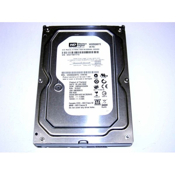 Dischi WD WD2502ABYS  Gigas SATA  "