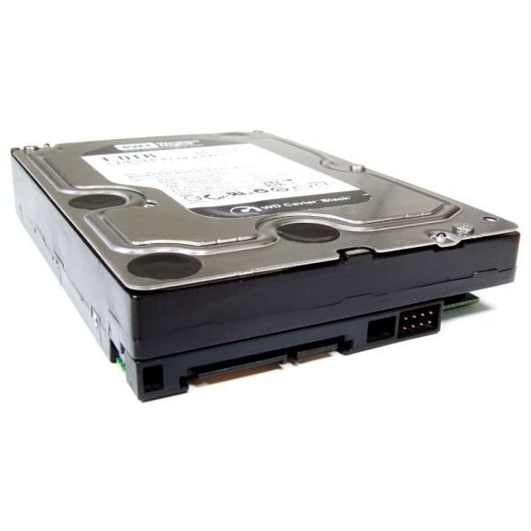 WD Disk drive WD1001FALS Gigas